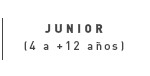 Texto alternativo