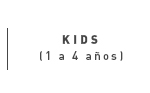 Texto alternativo