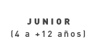 Texto alternativo